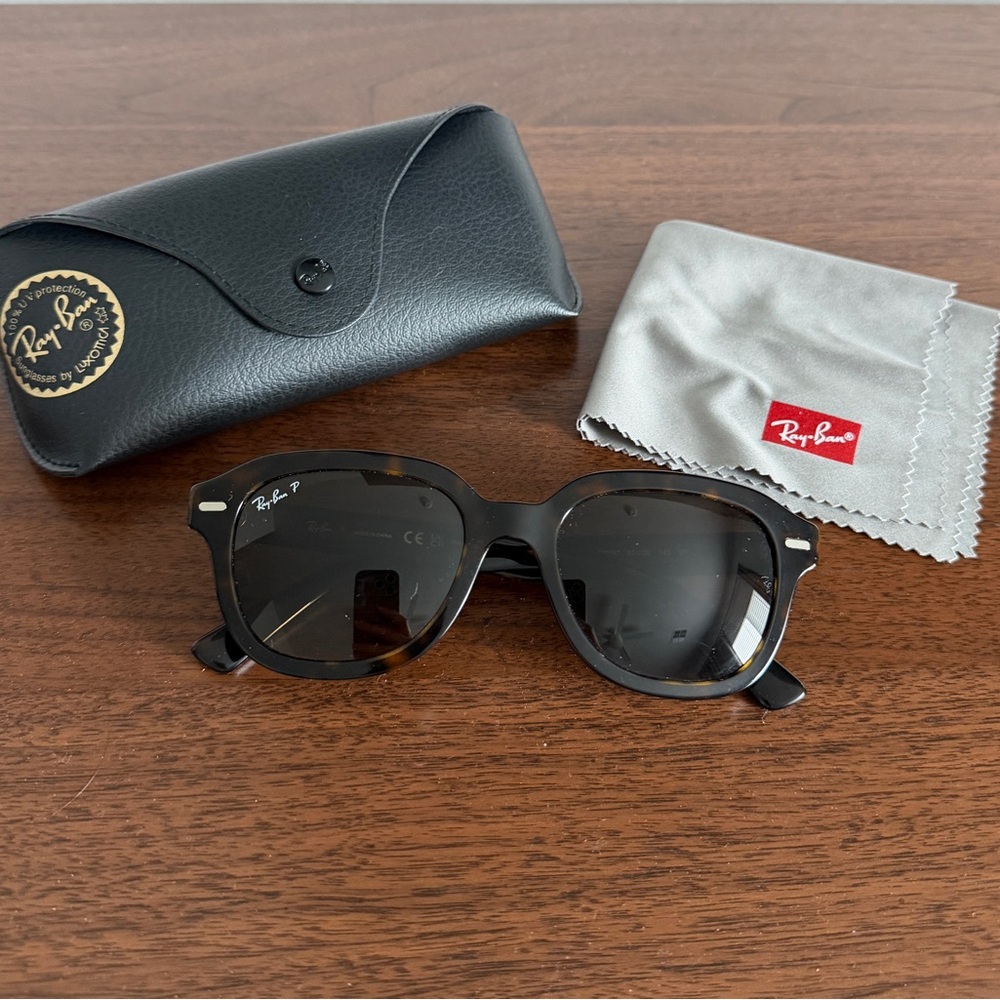 Ray-Ban Erik Polarized Sunglasses